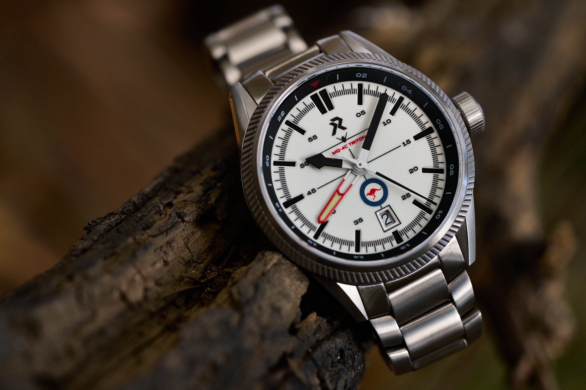 Project Triton Watch