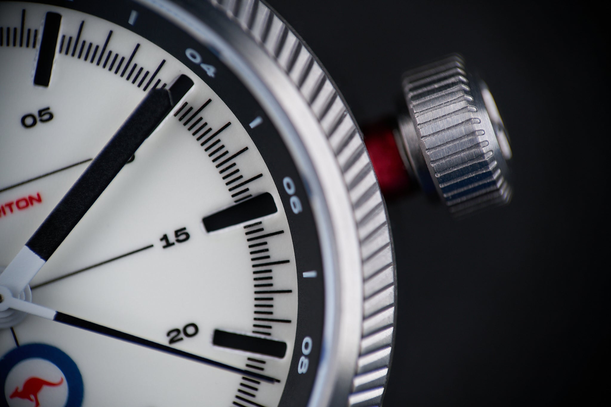 Project Triton Watch