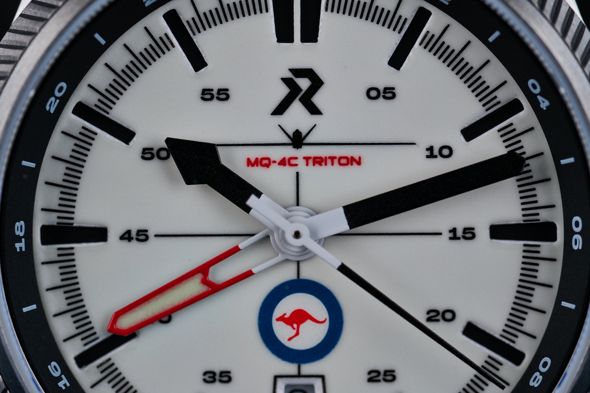 Project Triton Watch