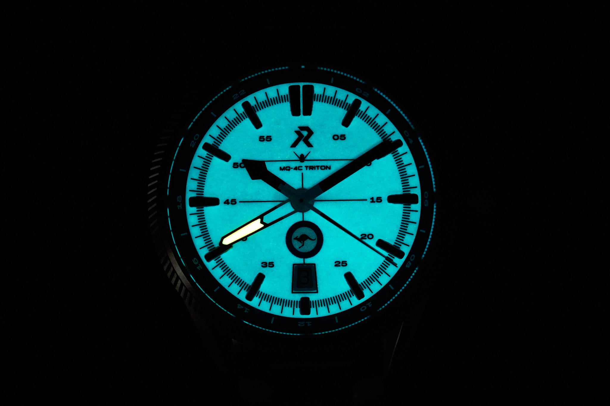 Project Triton Watch